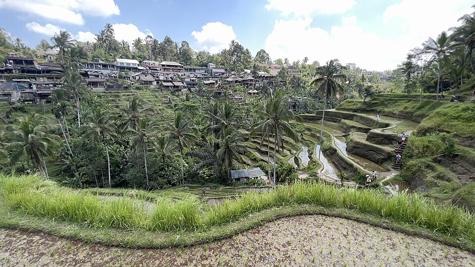 Bali Family Escape