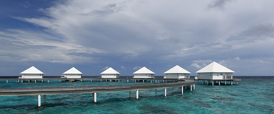 Maldives Honeymoon